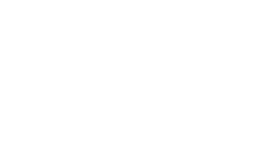 lexus client logo